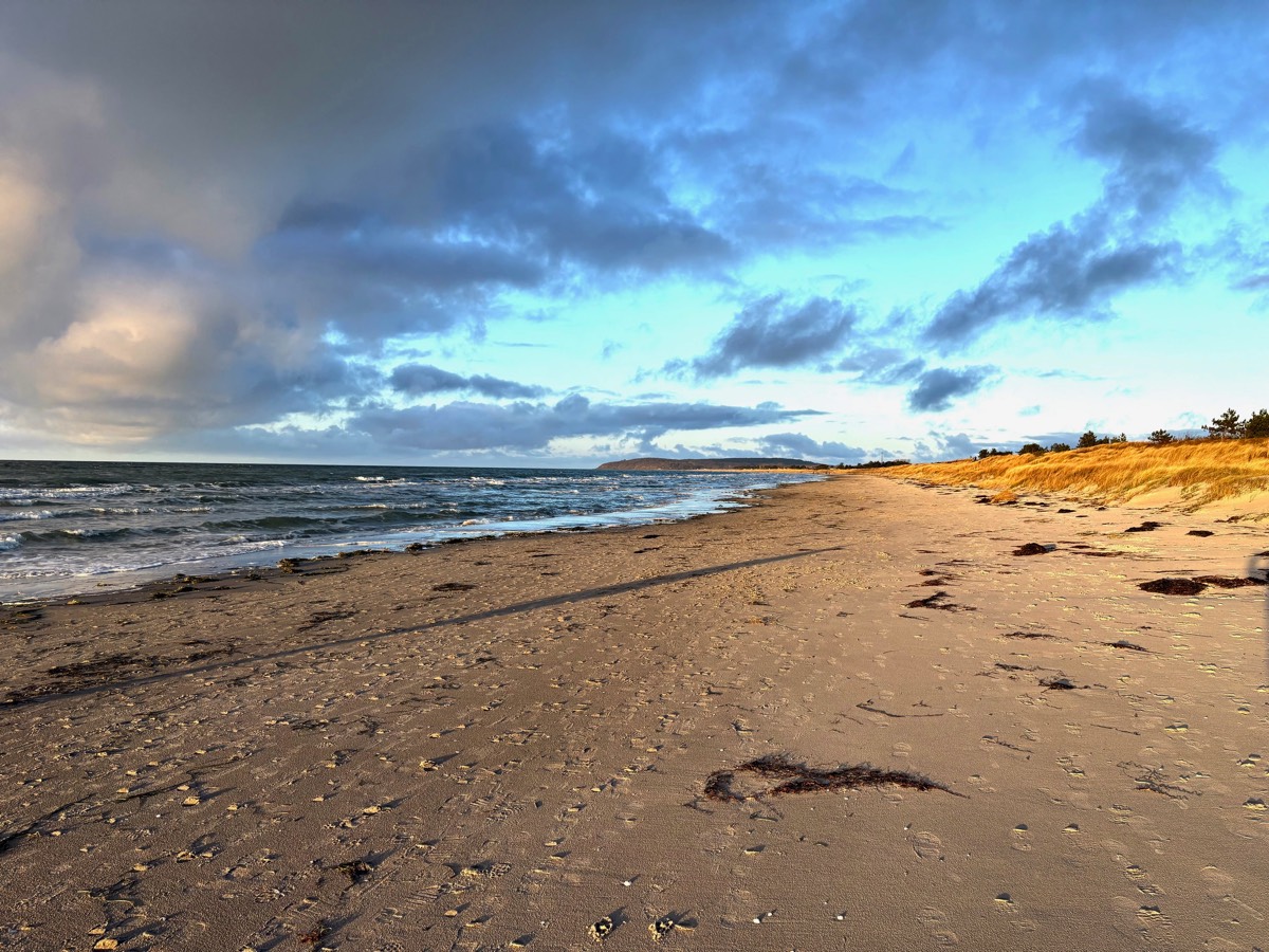 Stacks Image 155