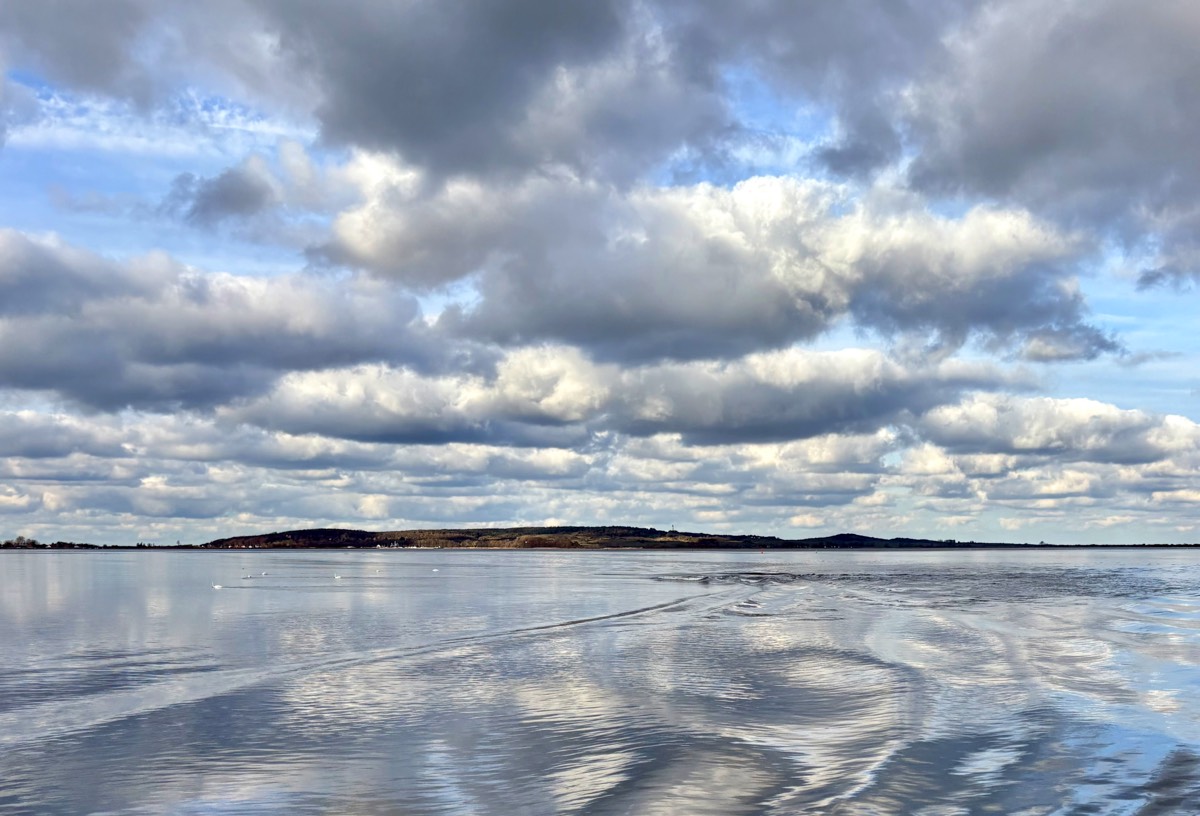 Stacks Image 83
