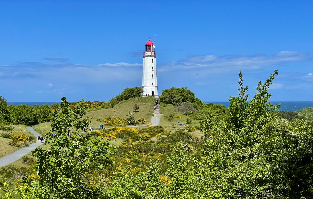 Stacks Image 83